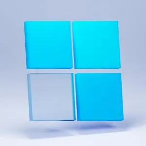 Windows 11